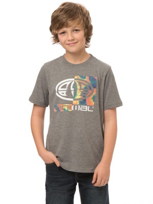 Hawk T-Shirt Boys